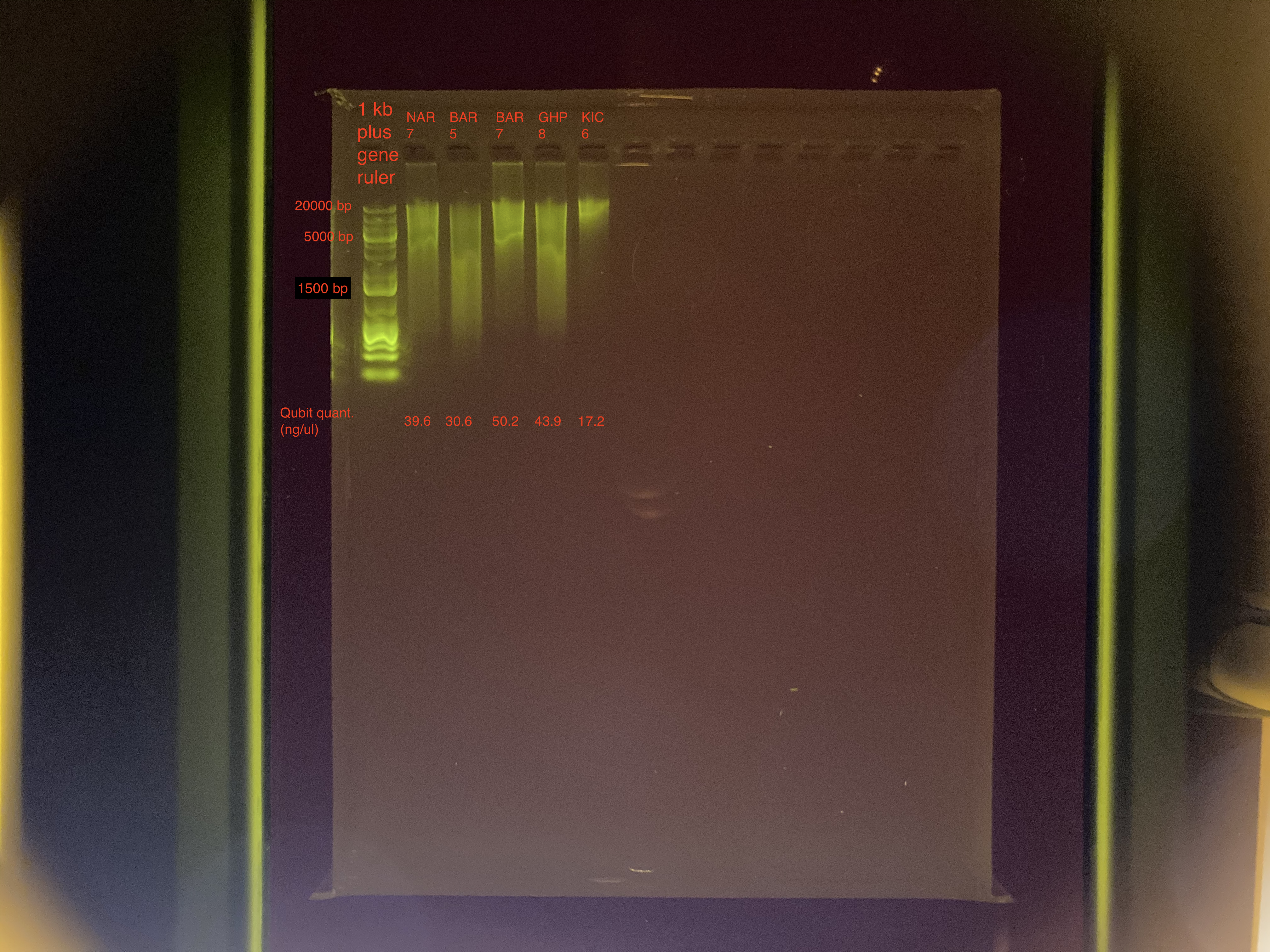 Gel_Part1